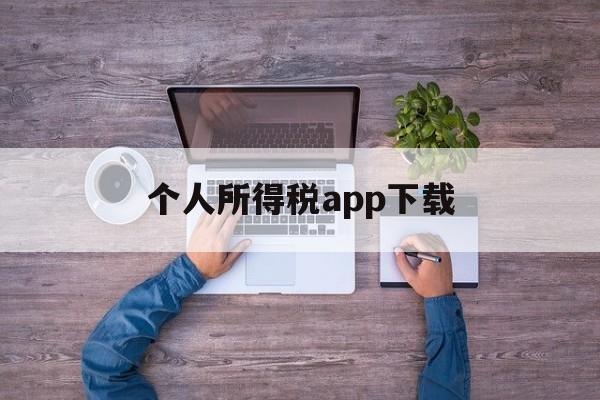 个人所得税app下载(个人所得税app下载官方免费下载)