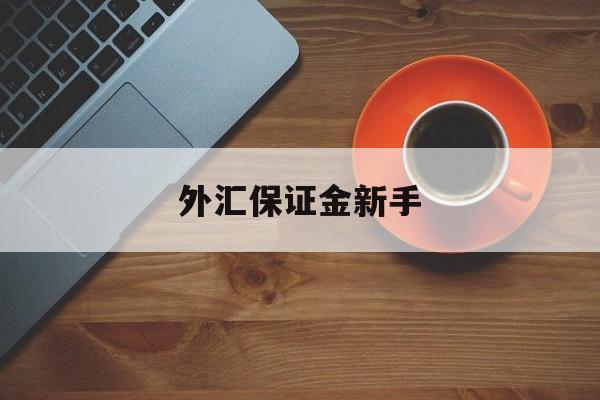 外汇保证金新手(外汇保证金怎么计算公式)